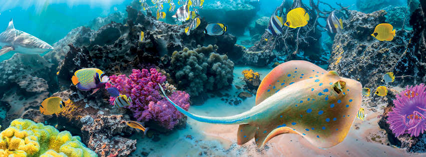 Nausicaa Aquarium