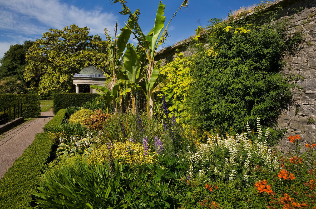 Fota House Arboretum and Gardens Co. Cork