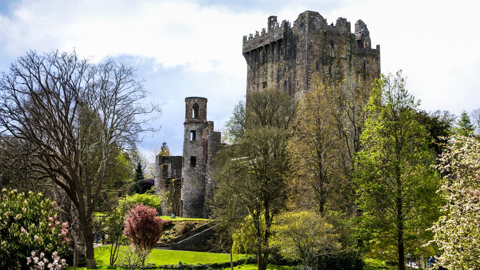 Blarney Castle, Cork